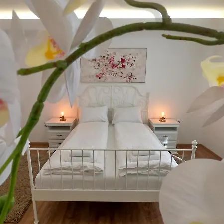 Spring Rustik Διαμέρισμα